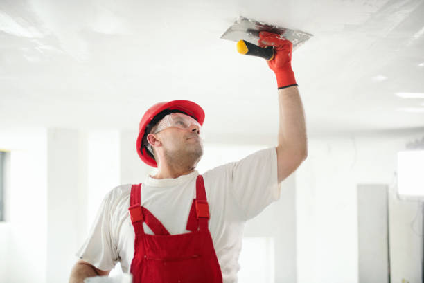 Asbestos and Lead Testing During Mold Inspection in Dillingham, AK