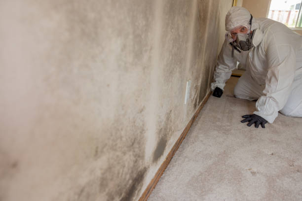 Best HVAC Mold Inspection and Cleaning  in Dillingham, AK